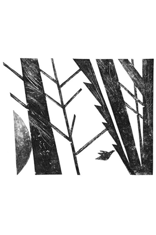 Лес. Птицы II
