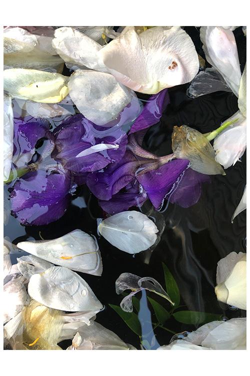 Flowers II